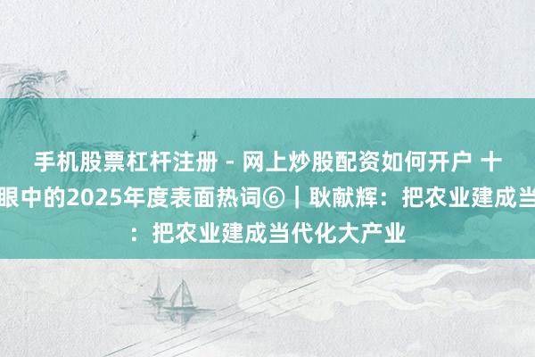 手机股票杠杆注册 - 网上炒股配资如何开户 十位后生学者眼中的2025年度表面热词⑥｜耿献辉：把农业建成当代化大产业