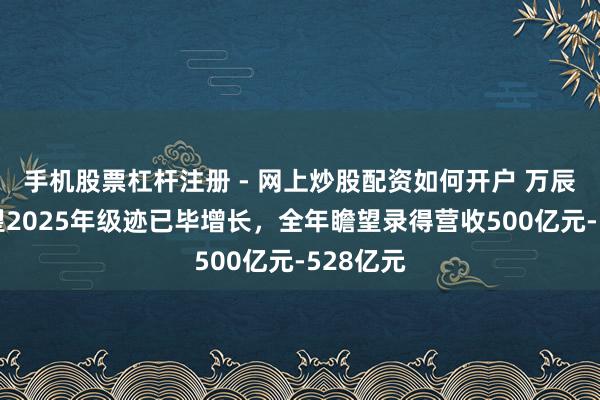 手机股票杠杆注册 - 网上炒股配资如何开户 万辰集团瞻望2025年级迹已毕增长，全年瞻望录得营收500亿元-528亿元