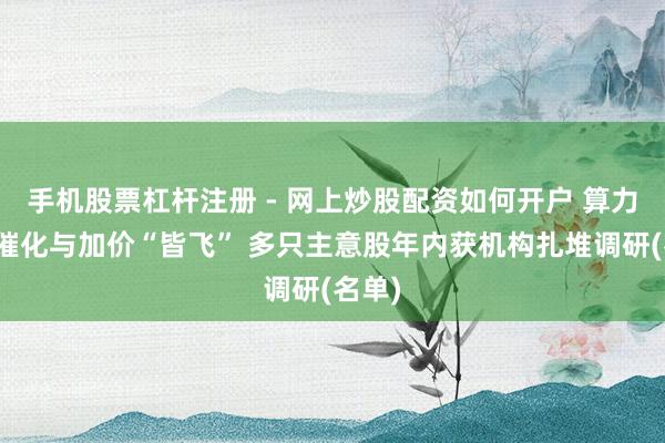 手机股票杠杆注册 - 网上炒股配资如何开户 算力鸿沟催化与加价“皆飞” 多只主意股年内获机构扎堆调研(名单)