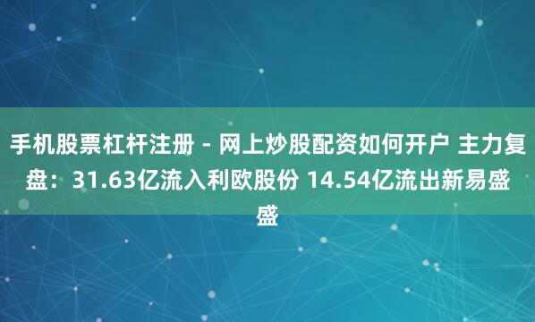 手机股票杠杆注册 - 网上炒股配资如何开户 主力复盘：31.63亿流入利欧股份 14.54亿流出新易盛
