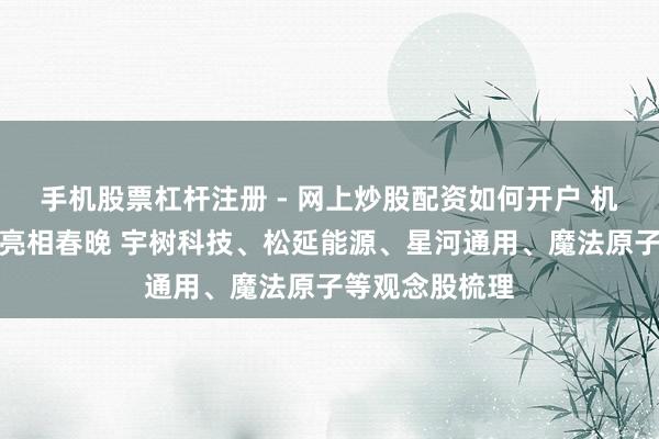 手机股票杠杆注册 - 网上炒股配资如何开户 机器东谈主密集亮相春晚 宇树科技、松延能源、星河通用、魔法原子等观念股梳理