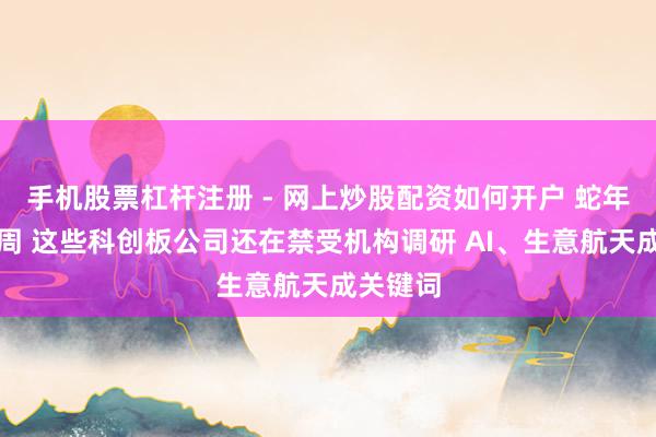 手机股票杠杆注册 - 网上炒股配资如何开户 蛇年终末一周 这些科创板公司还在禁受机构调研 AI、生意航天成关键词