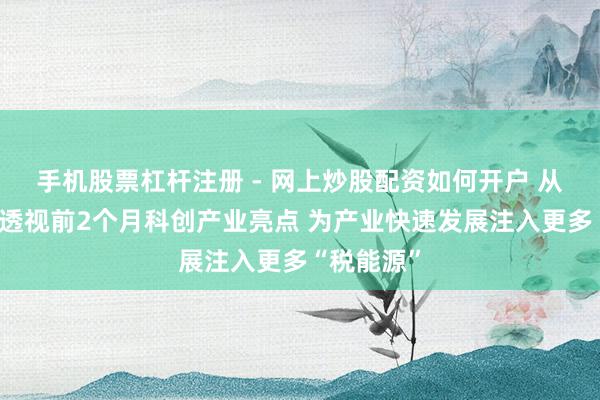 手机股票杠杆注册 - 网上炒股配资如何开户 从税收数据透视前2个月科创产业亮点 为产业快速发展注入更多“税能源”
