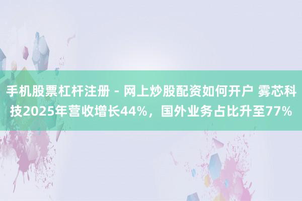 手机股票杠杆注册 - 网上炒股配资如何开户 雾芯科技2025年营收增长44%,国外业务占比升至77%