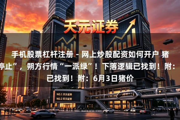 手机股票杠杆注册 - 网上炒股配资如何开户 猪价下落“无停止”，朔方行情“一派绿”！下落逻辑已找到！附：6月3日猪价