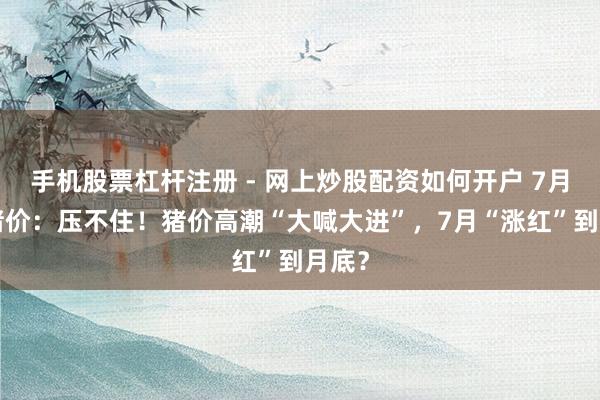 手机股票杠杆注册 - 网上炒股配资如何开户 7月4日猪价：压不住！猪价高潮“大喊大进”，7月“涨红”到月底？