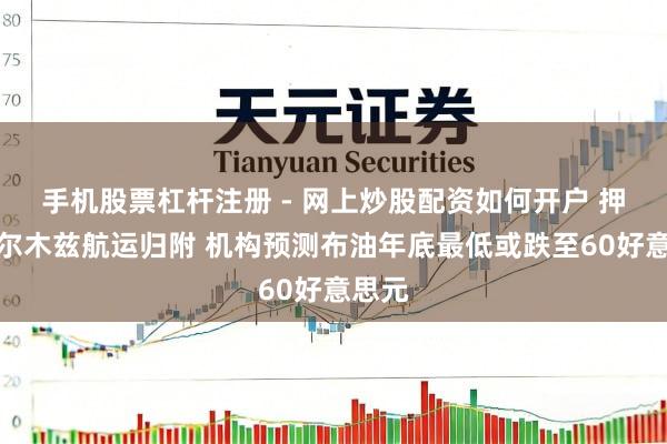手机股票杠杆注册 - 网上炒股配资如何开户 押注霍尔木兹航运归附 机构预测布油年底最低或跌至60好意思元